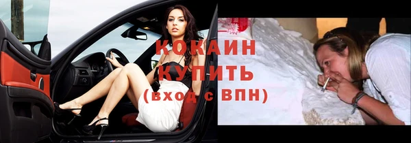 ешки Дмитриев