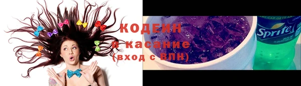 ешки Дмитриев