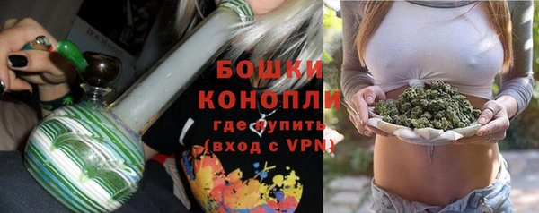 Альфа ПВП Ельня