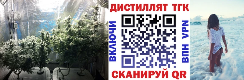 Дистиллят ТГК концентрат  Купить где  Новая Ляля 