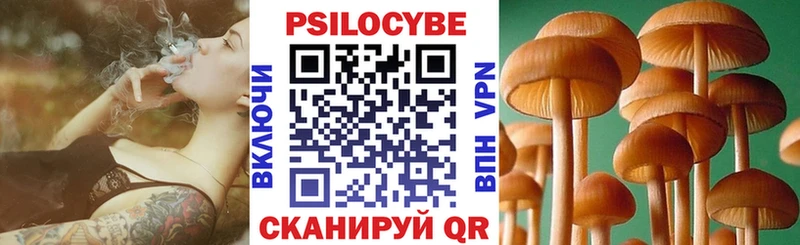 Галлюциногенные грибы Psilocybe  Купить закладки  Новая Ляля 
